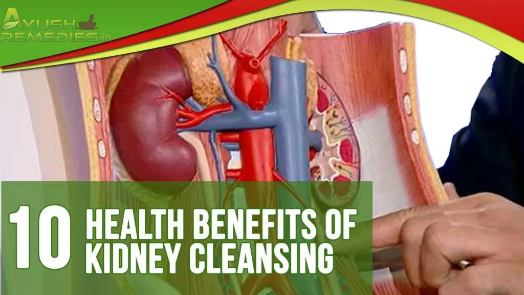 PPT Health Benefits of Kidney Cleansing and Natural Ways to Cleanse