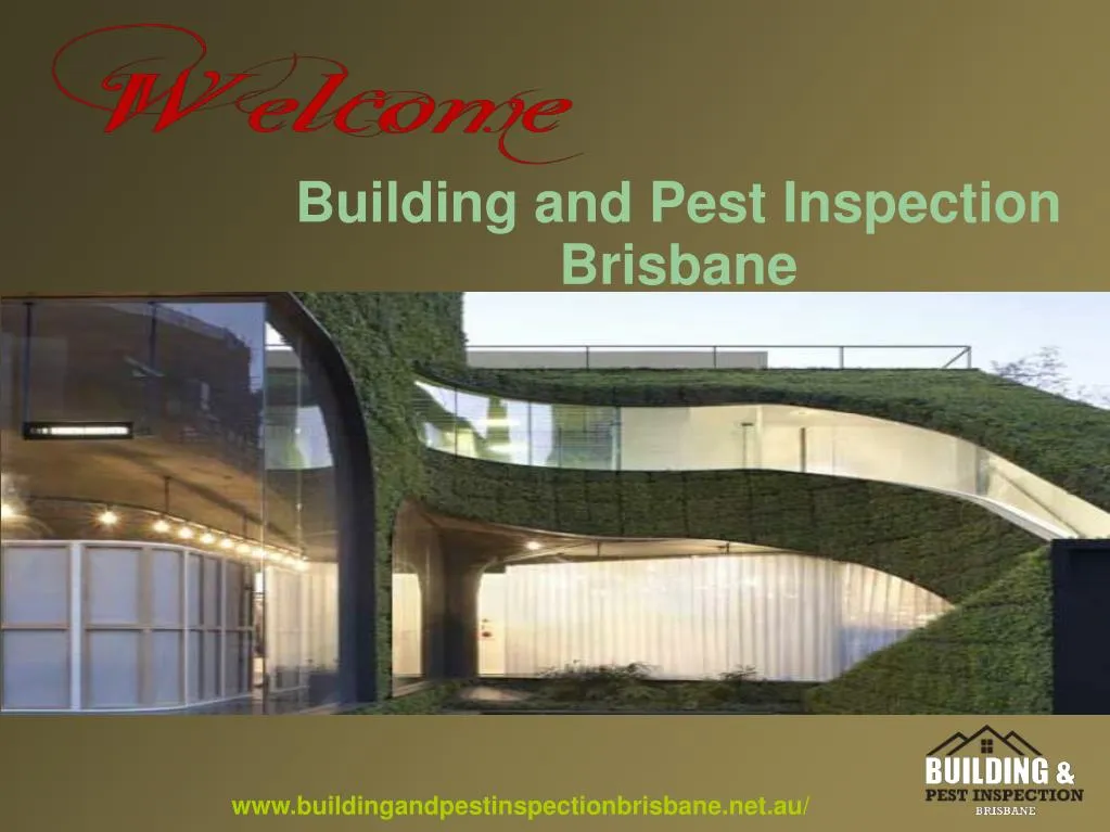 PPT - Brisbane Best Building And Pest Inspection PowerPoint ...