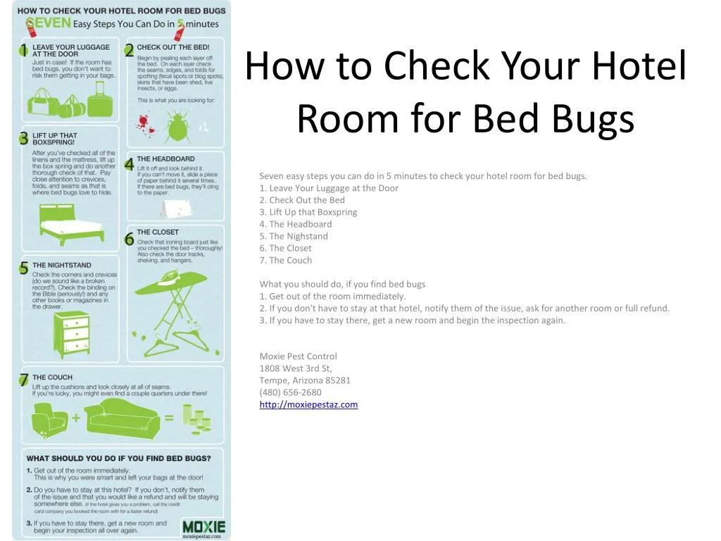 PPT How to Check Your Hotel Room for Bed Bugs PowerPoint Presentation