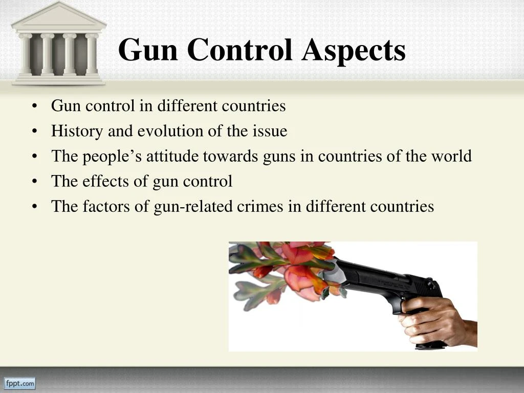 gun control research paper example