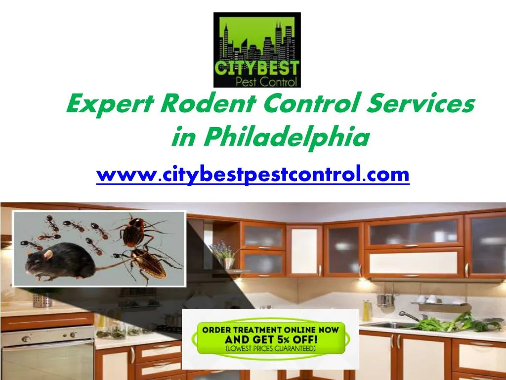 expert rodent control services in philadelphia n.