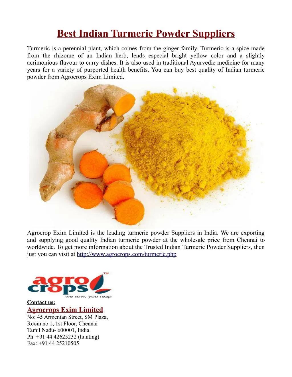 PPT Best Indian Turmeric Powder Suppliers PowerPoint Presentation