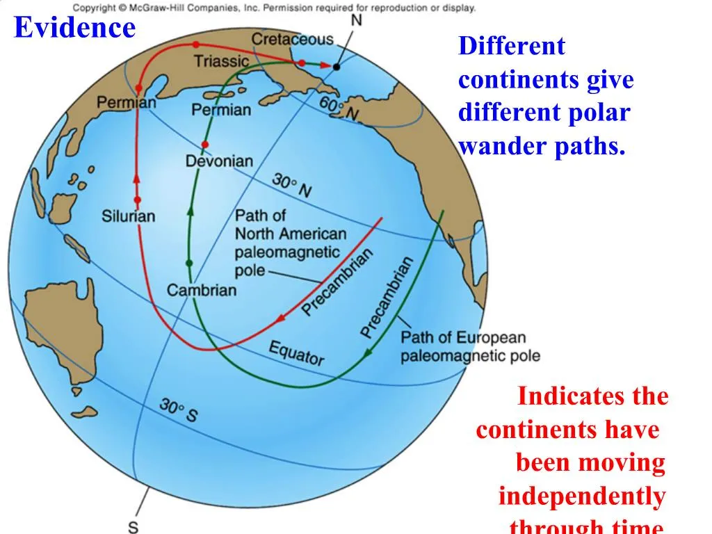 What Is Polar Wander Path