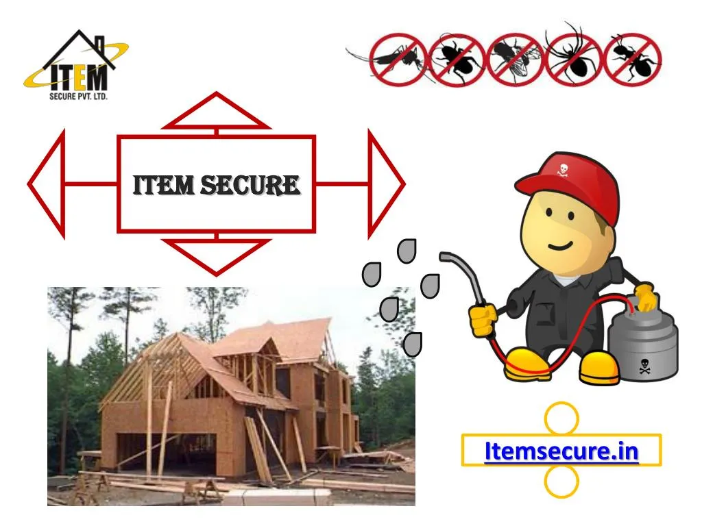 PPT - Best Anti-Termite Treatment For Your Home Or Building PowerPoint ...