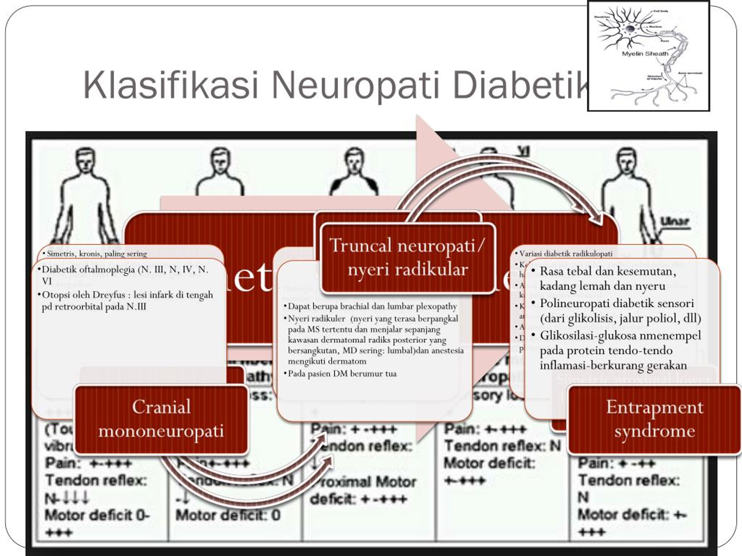 PPT - Pengaruh Pregabalin Terhadap Neuropati Diabetik PowerPoint ...