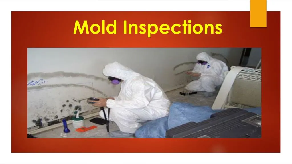 Ppt Mold Inspection Powerpoint Presentation Free Download Id7212402