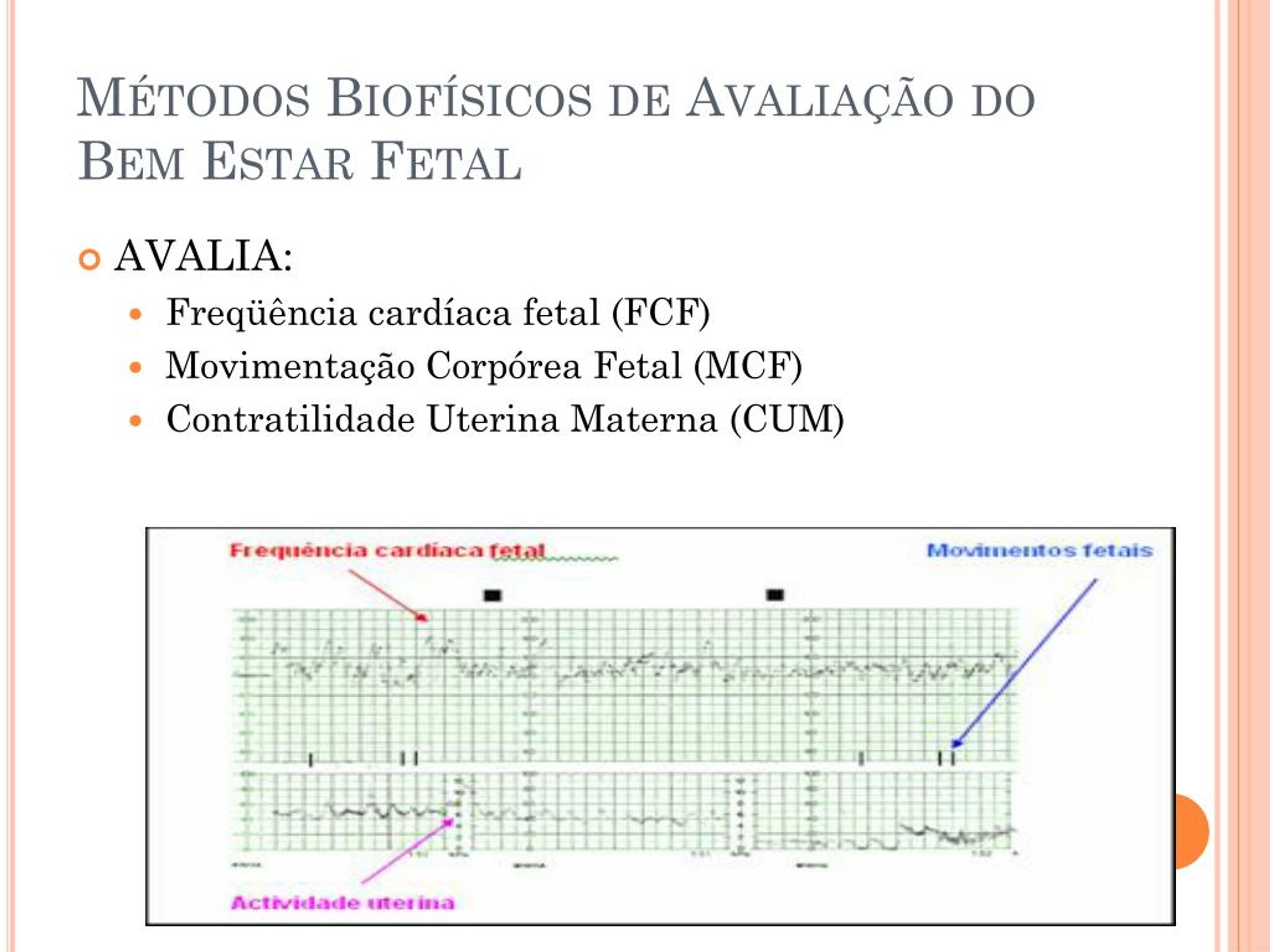 Ppt Ctb E Vitalidade Fetal Powerpoint Presentation Free Download Id7216242 