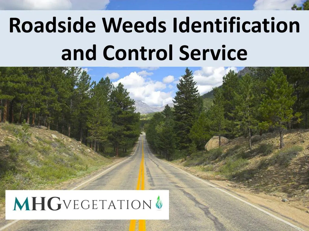 PPT Roadside Weeds Identification and Control Service PowerPoint