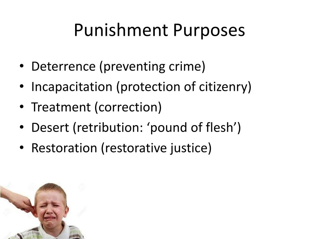 Incarceration Balancing Punishment And Treatment