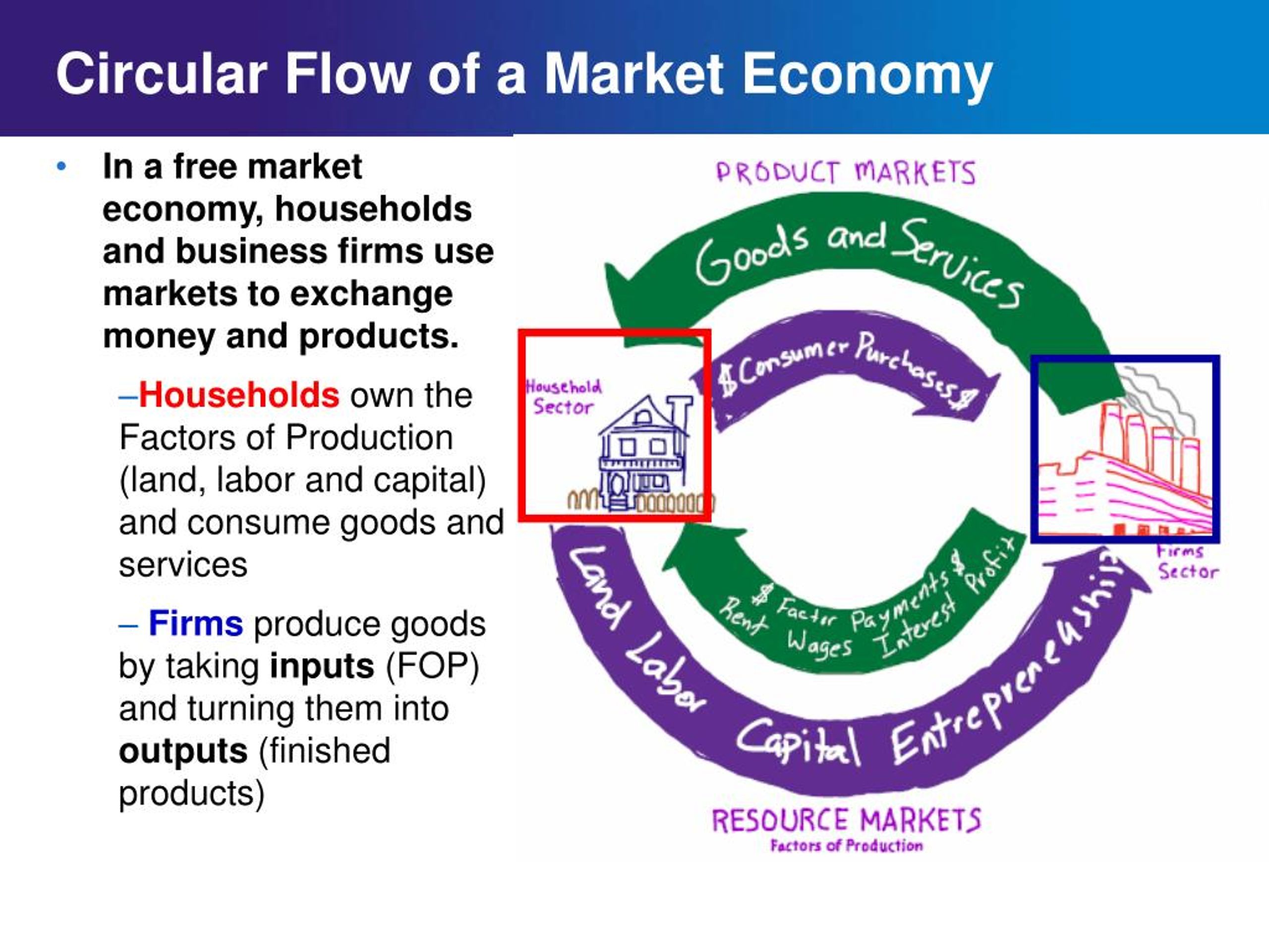circular flow of economy