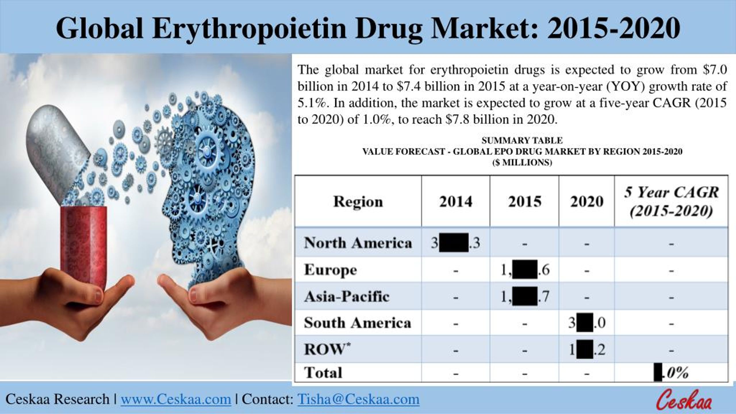 Dark Web Market