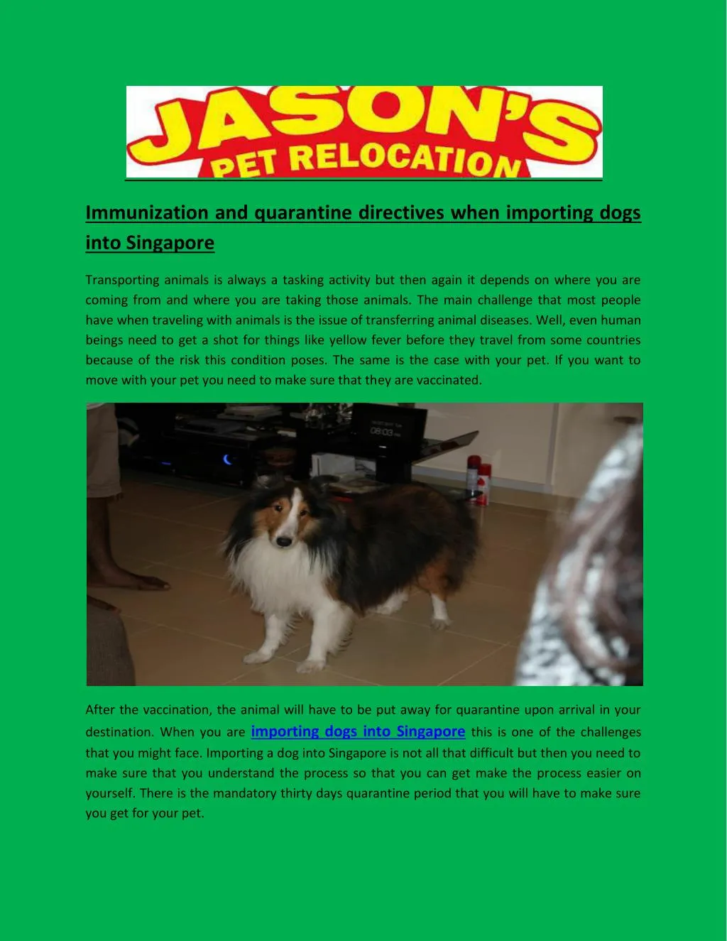 PPT Sembawang animal quarantine station PowerPoint Presentation, free