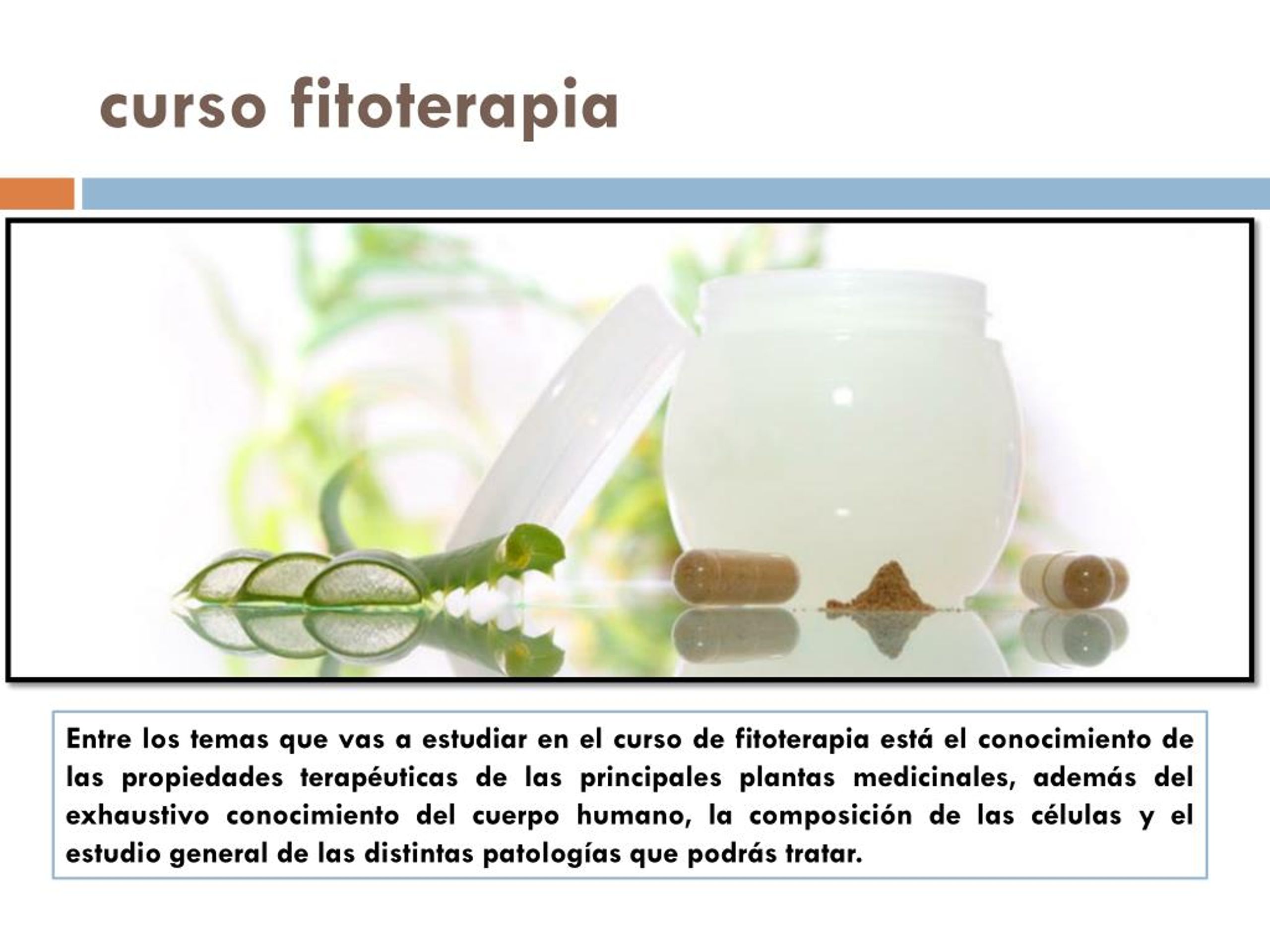 Ppt Curso Fitoterapia Powerpoint Presentation Free Download Id7231760 7551