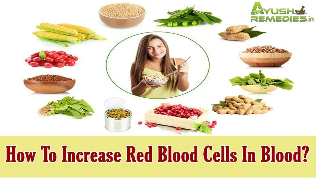 PPT - How To Increase Red Blood Cells In Blood? PowerPoint Presentation ...