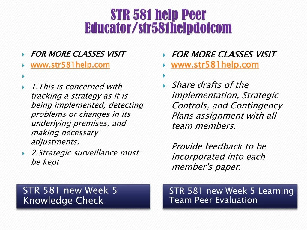 str 581 implementation strategic controls and contingency plans str 581 implementation strategic controls and contingency plans
