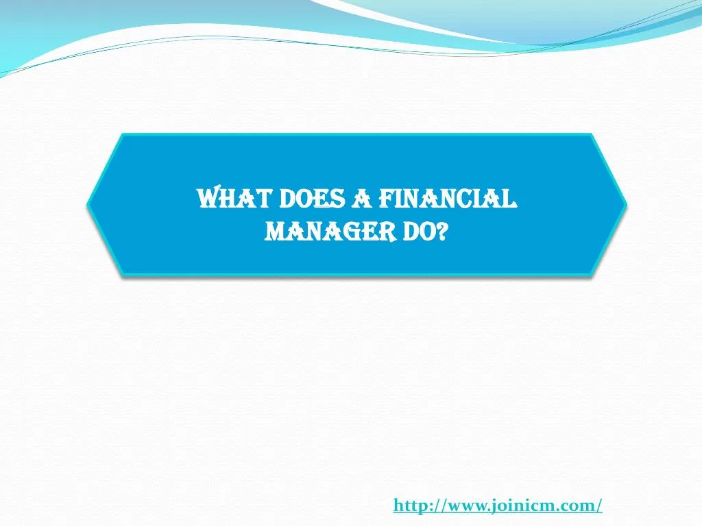 define finance manager