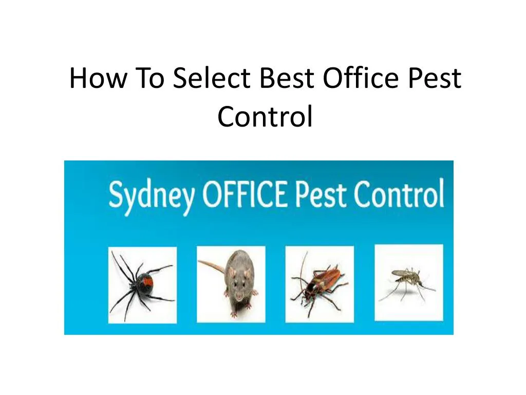 PPT - How To Select Best Office Pest Control PowerPoint Presentation ...