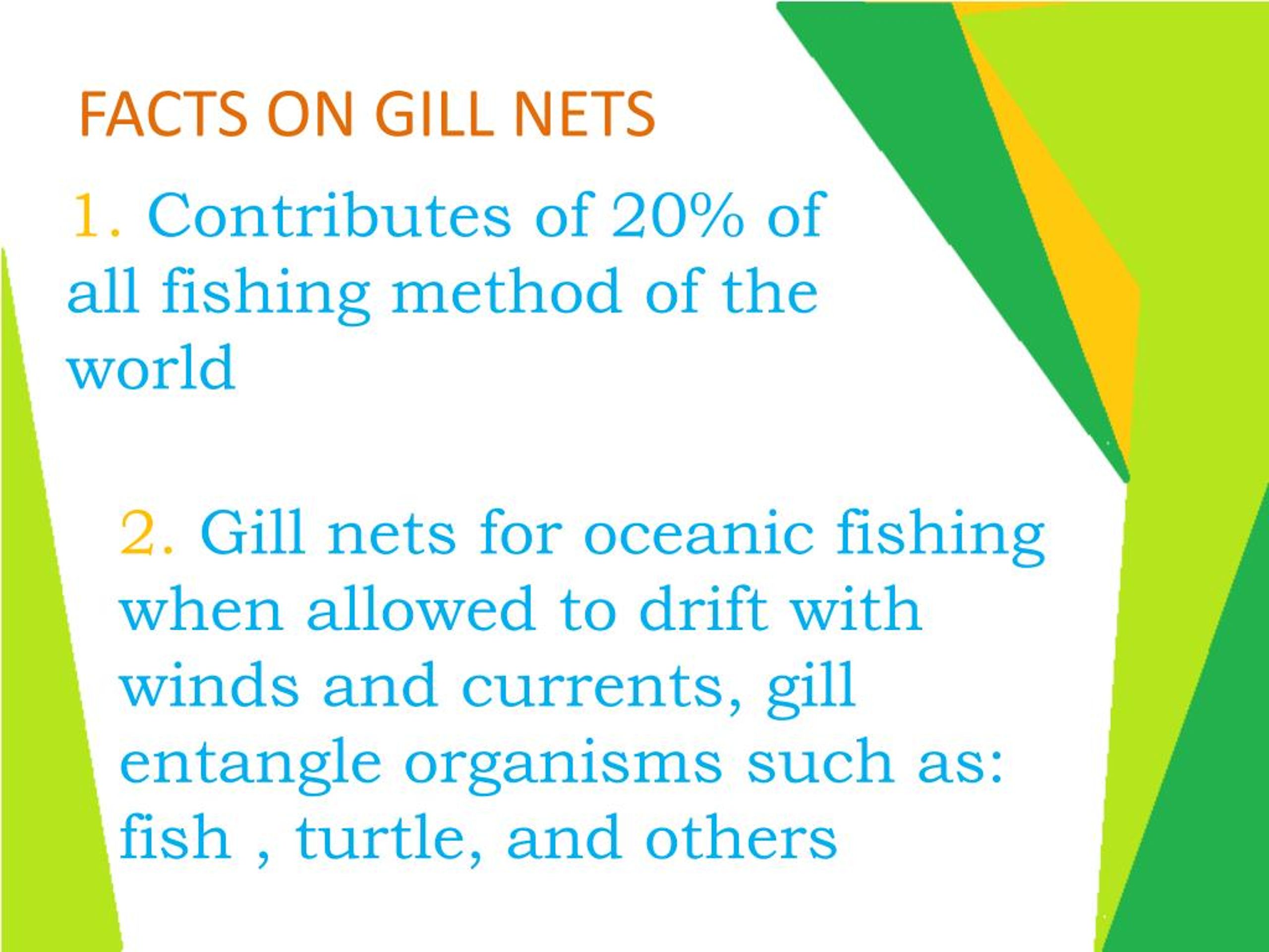 PPT - Use of Gill Nets in Fishing - Texastastes PowerPoint