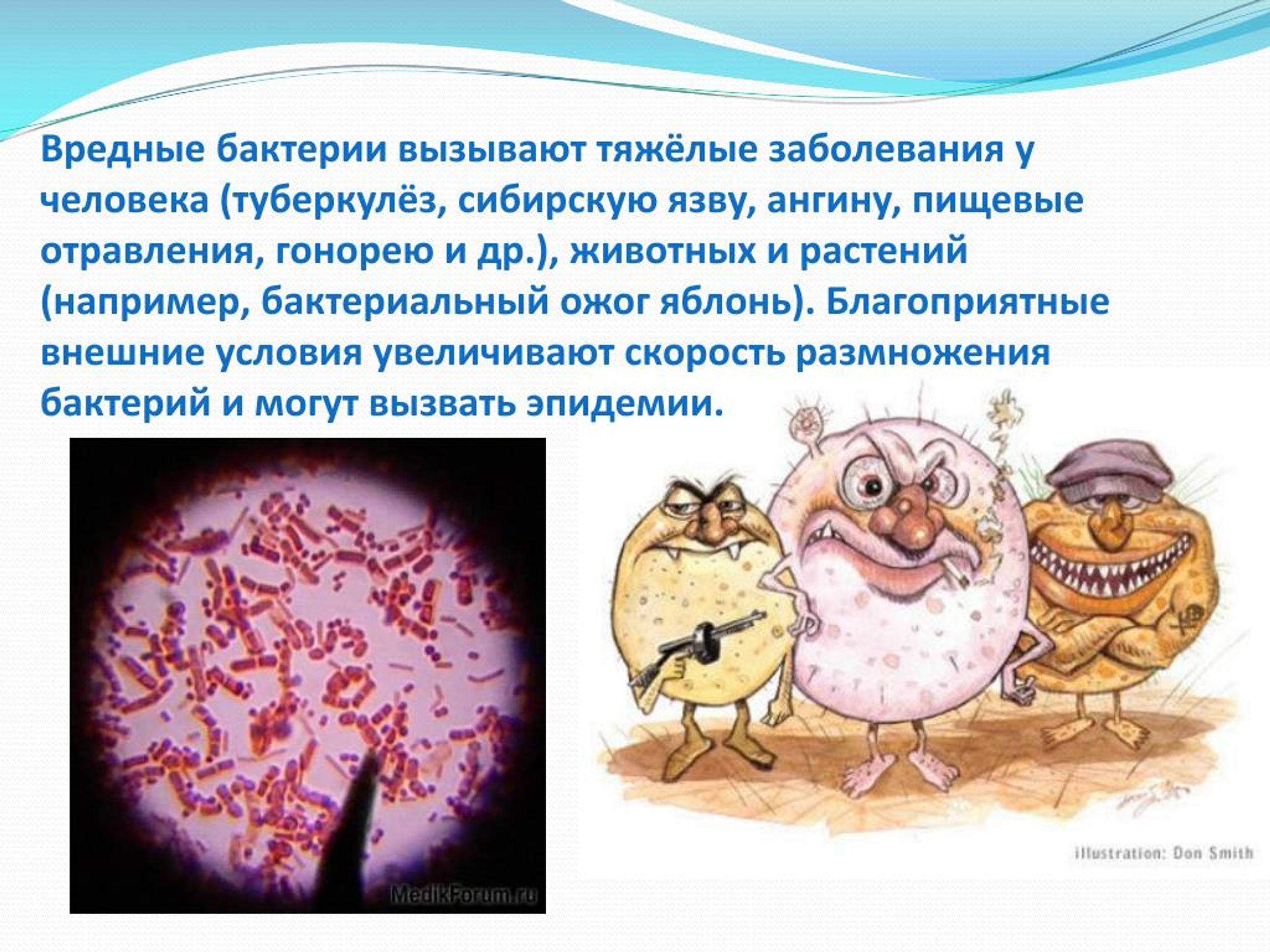Бактериальное заболевание 5 класс. Вредные бактерии. Полезные и вредные микробы. Вредные бактерии вызывают. Микробы вредные для человека.