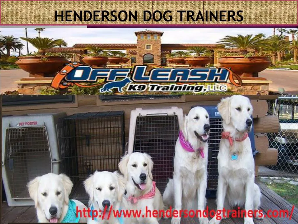 PPT Henderson Dog Training PowerPoint Presentation, free download
