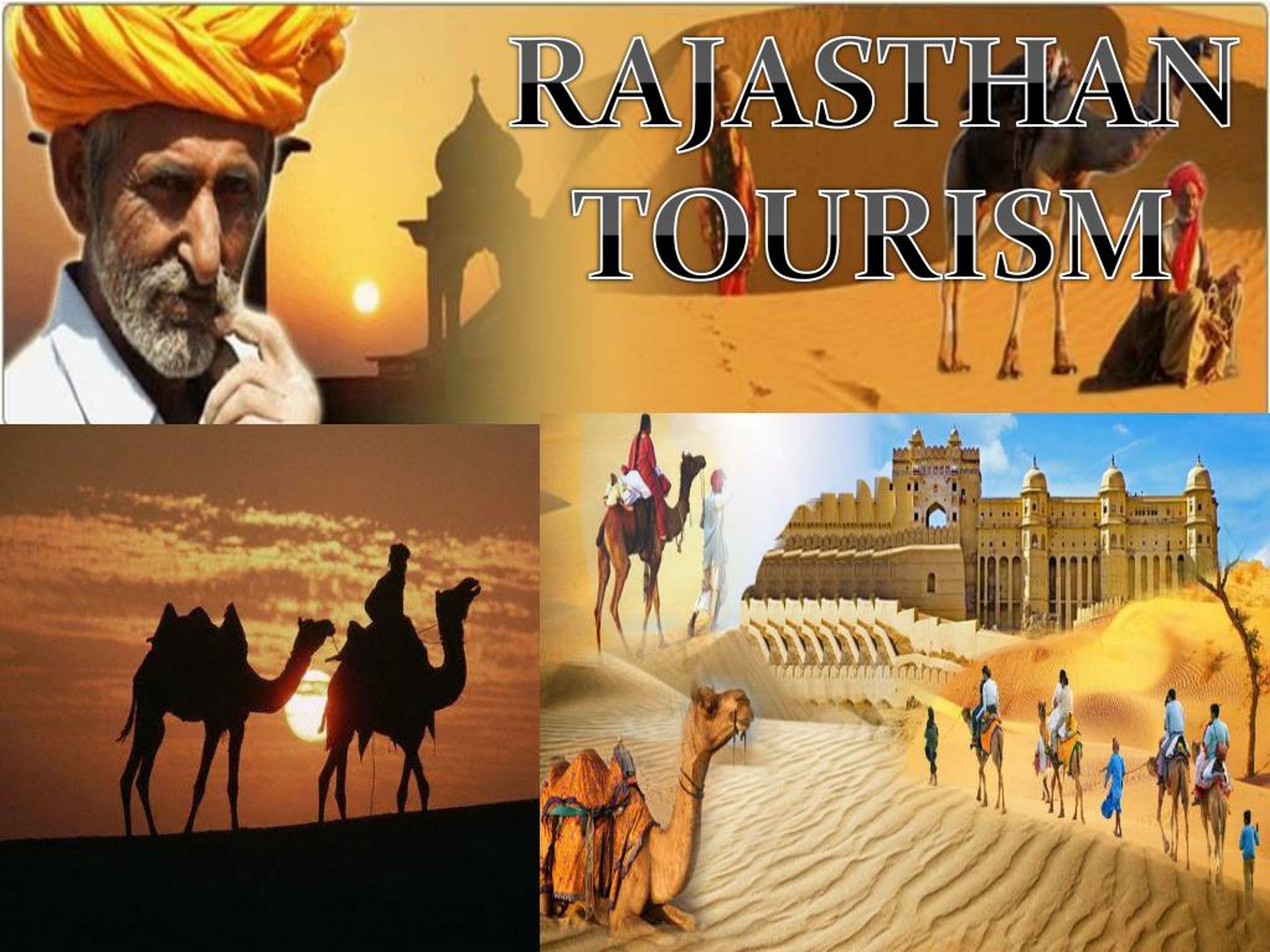 rajasthan tourism course