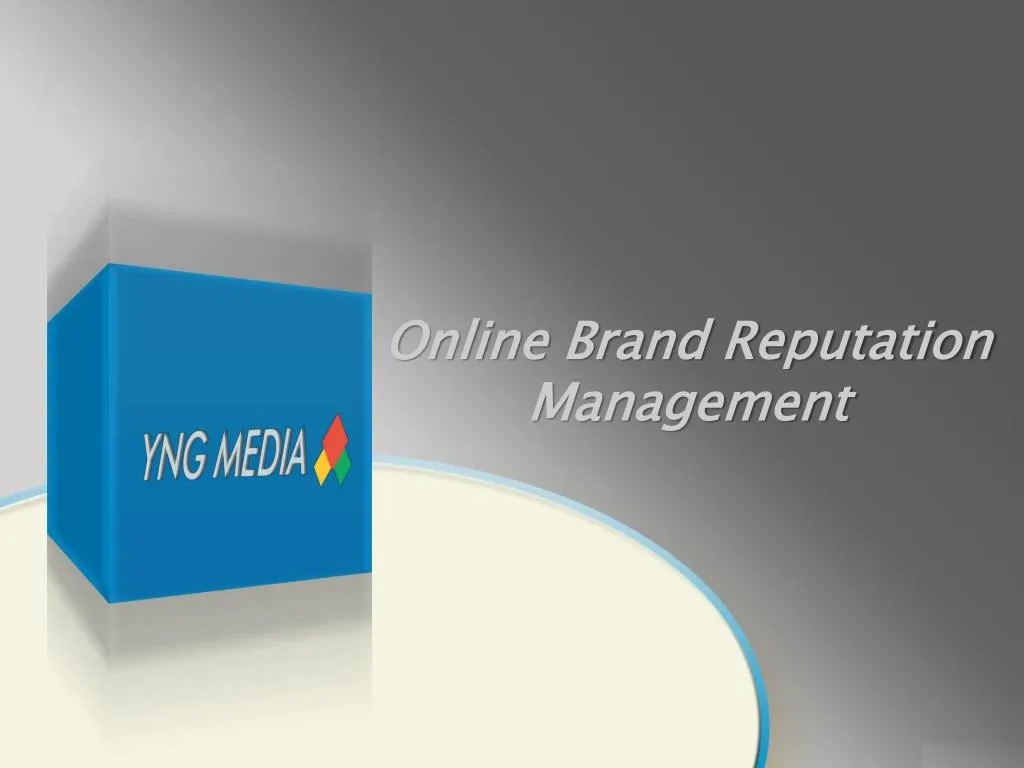 online brand reputation management n.
