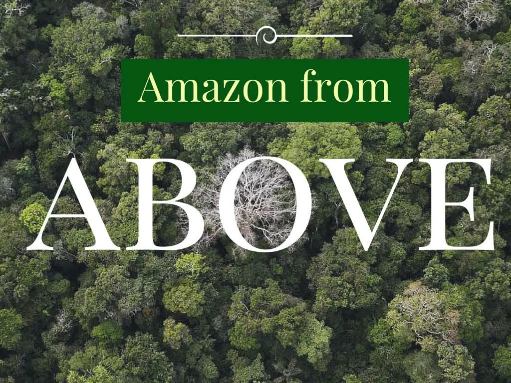 Ppt - Amazon From Above Powerpoint Presentation, Free Download - Id:7254299