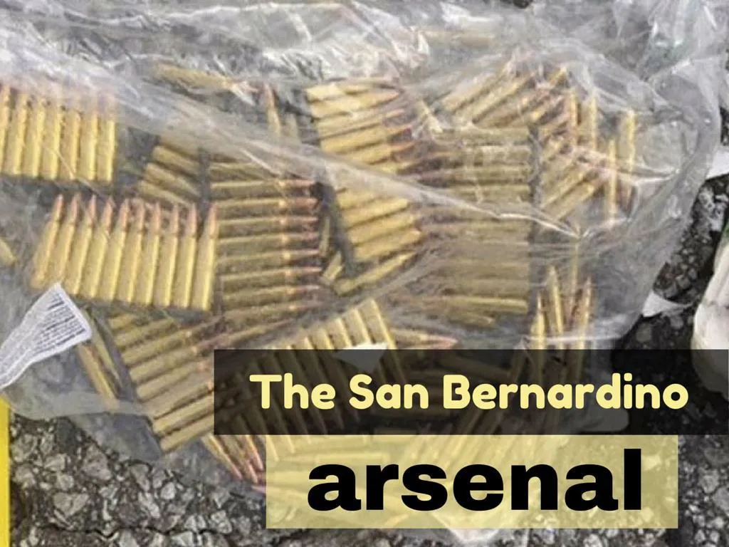 the san bernardino arsenal n.