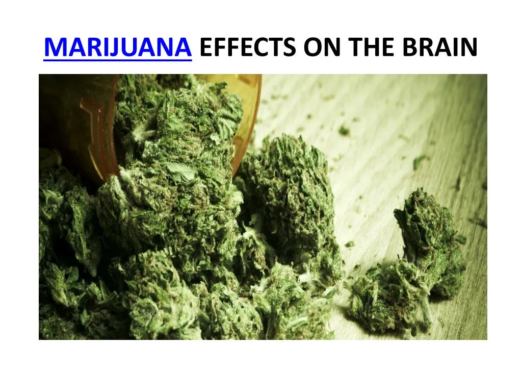 PPT - Marijuana Effects On The Brain PowerPoint Presentation, Free ...