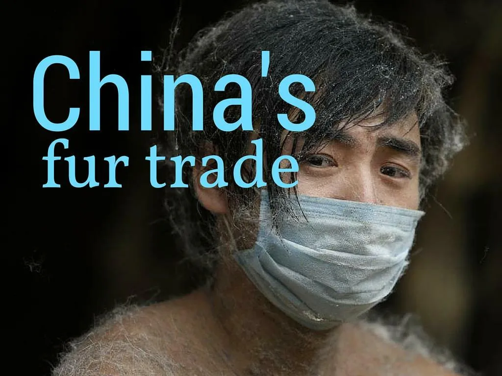 china s fur trade n.