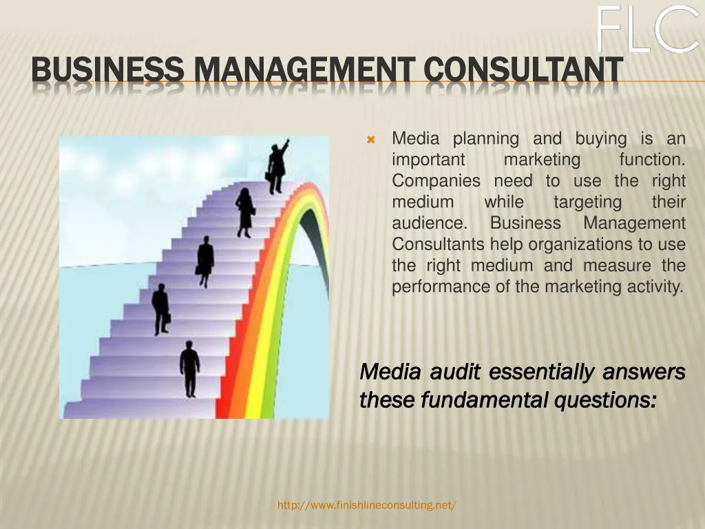 business management consultant n.