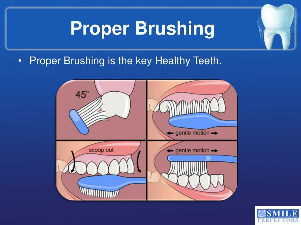 brushing proper teeth hygiene dental tips powerpoint ppt presentation healthy