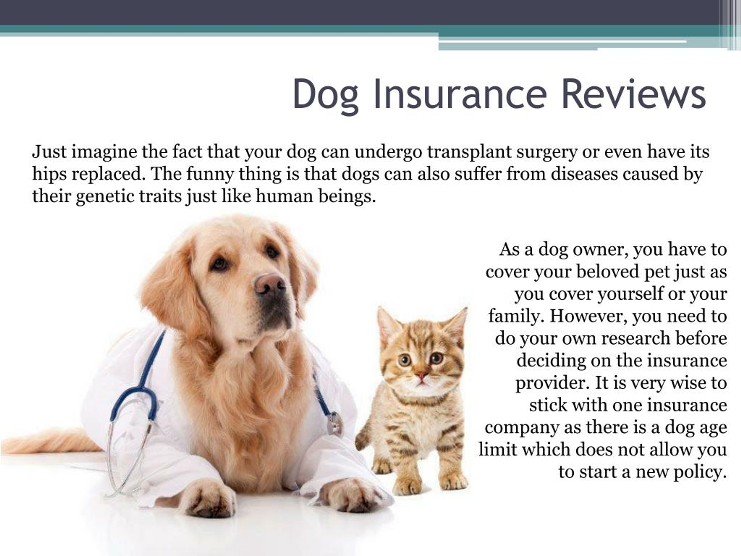 PPT - How Much is Dog Insurance PowerPoint Presentation, free download - ID:7270588