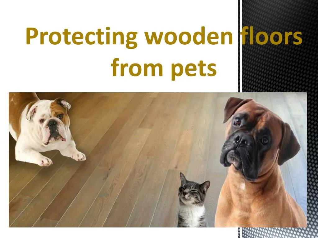 protecting wooden floors from pets n.