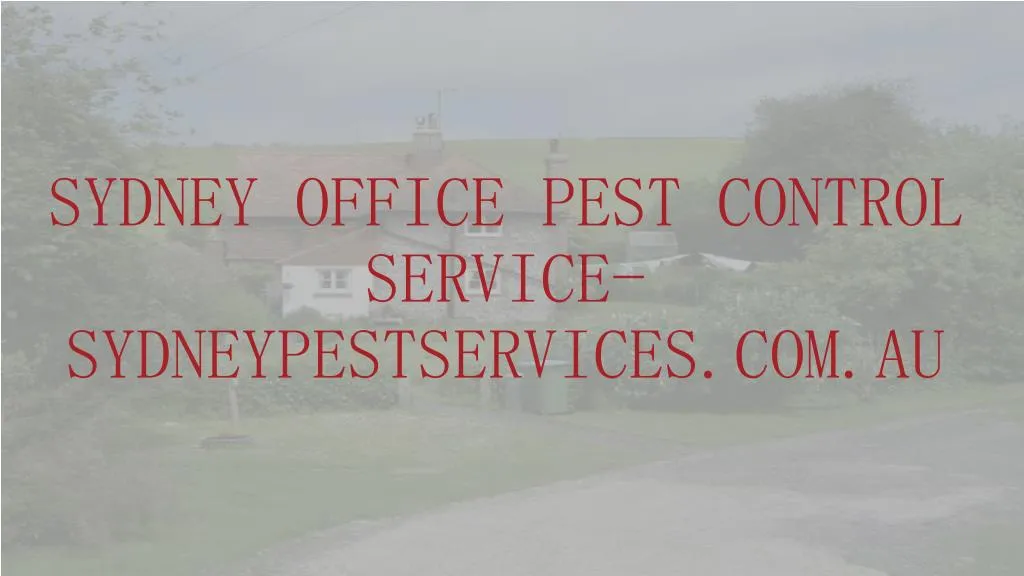 sydney office pest control service sydneypestservices com au n.