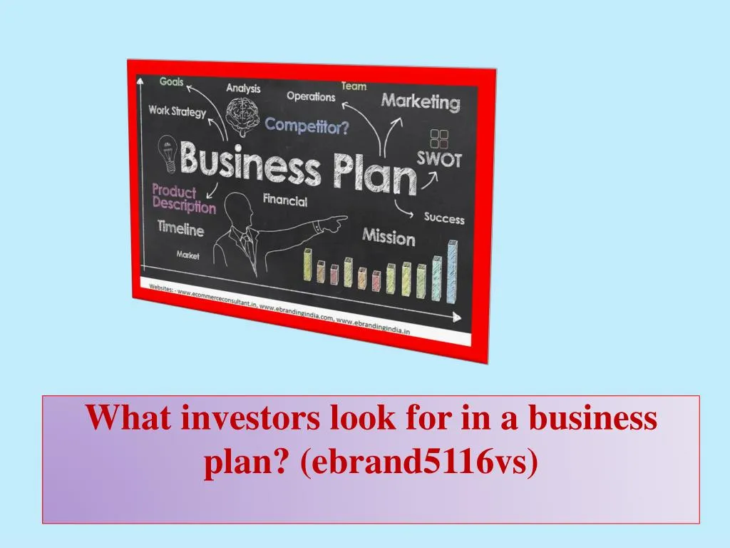 business plan what investors look for