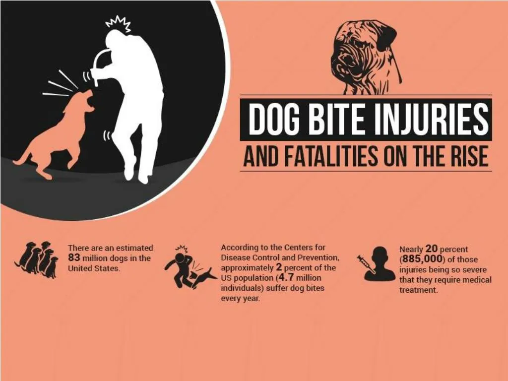 PPT - Dog Bite Injuries And Fatalities On The Rise PowerPoint ...