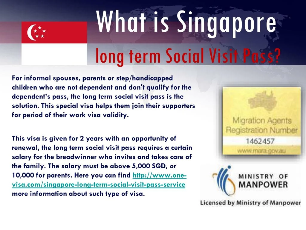 what is social visit pass singapore