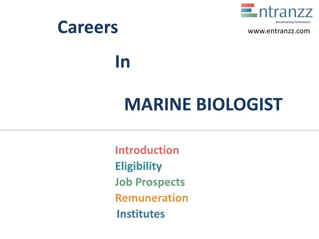 PPT Careers In MARINE BIOLOGIST PowerPoint Presentation, free