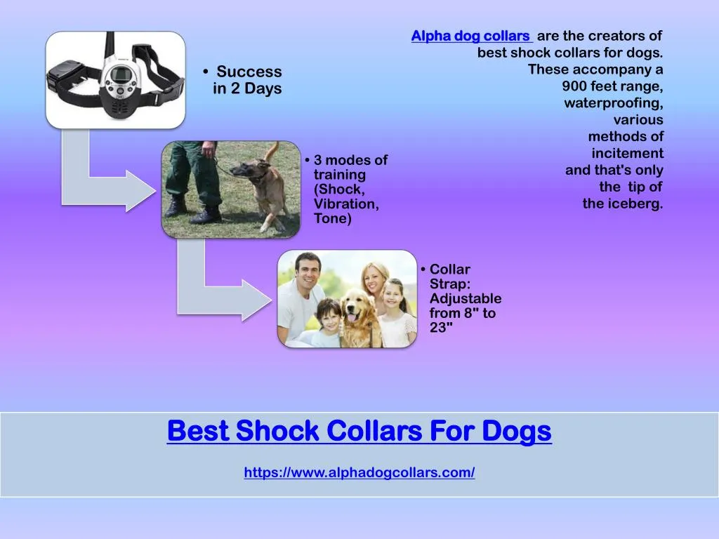 alpha shock collar