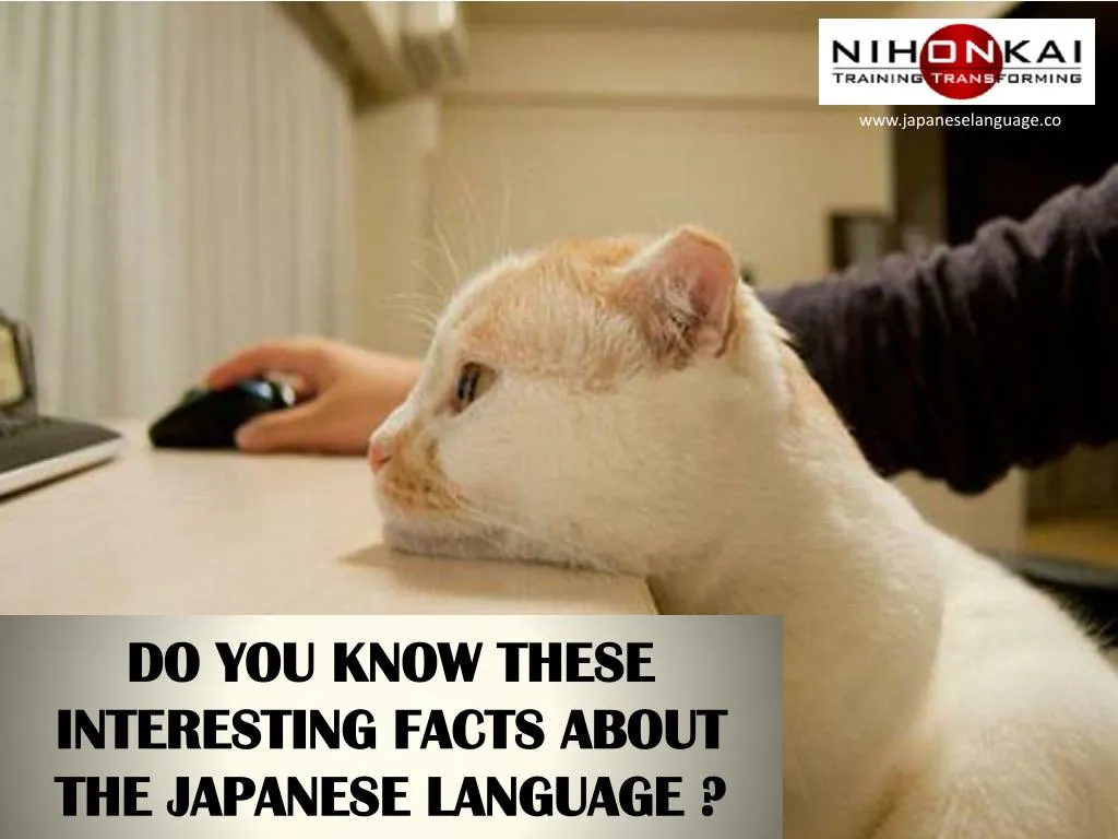 ppt-do-you-know-these-interesting-facts-about-japanese-language