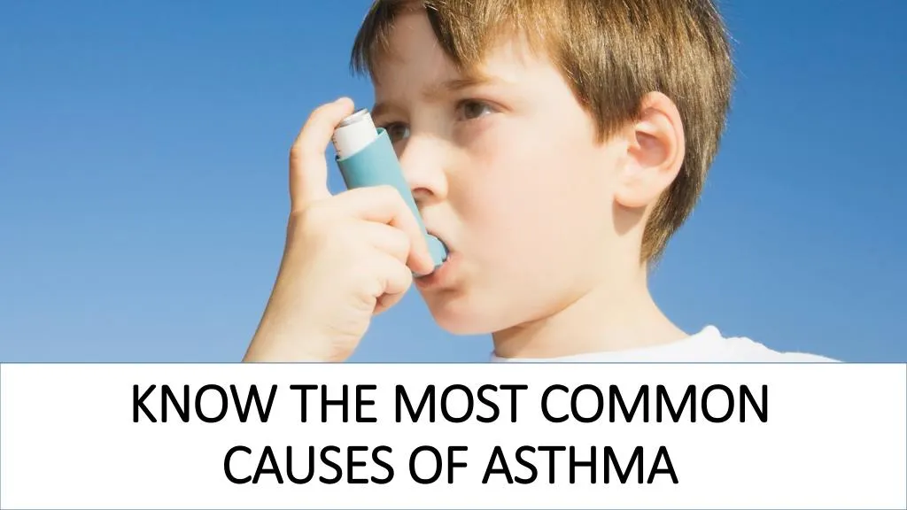 Ppt - Know The Most Common Causes Of Asthma Powerpoint Presentation 