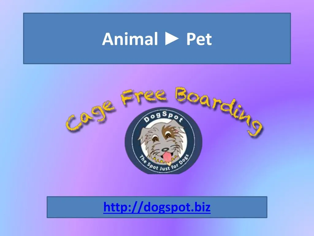 PPT Dog Boarding San Diego PowerPoint Presentation, free download