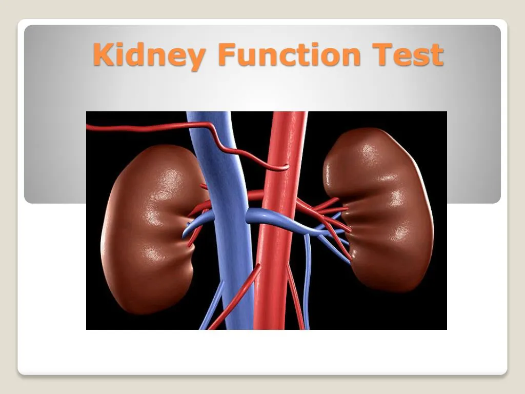 PPT Kidney Function Test PowerPoint Presentation Free Download ID 