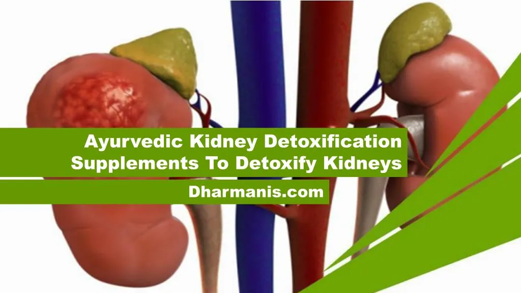 PPT Ayurvedic Kidney Detoxification Supplements To