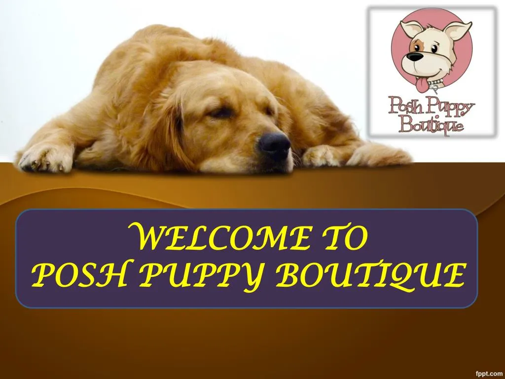 PPT TO POSH PUPPY BOUTIQUE PowerPoint Presentation, free