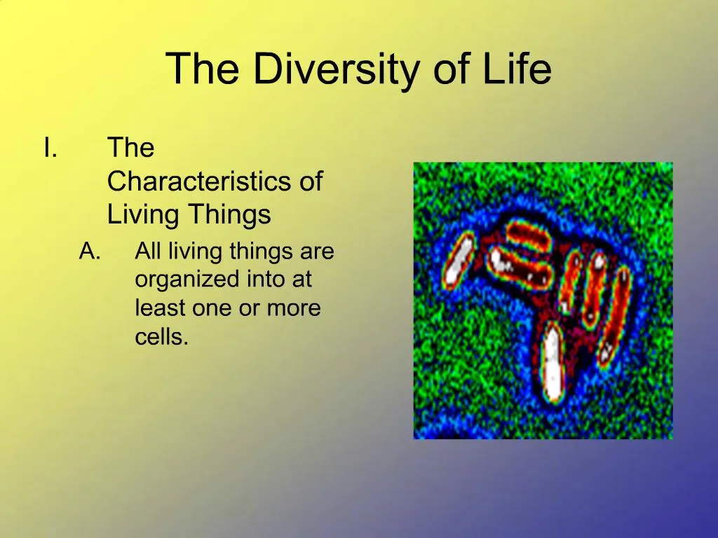 Ppt The Diversity Of Life Powerpoint Presentation Free Download Id734030 1308