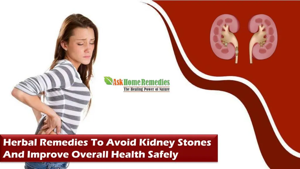 PPT Herbal Remedies To Avoid Kidney Stones And Improve Overall Health