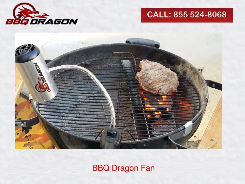 PPT BBQ Dragon Fan PowerPoint Presentation, free download ID7342578