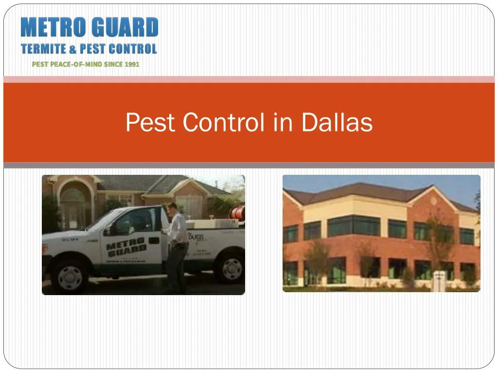 PPT Pest Control in Dallas PowerPoint Presentation, free download